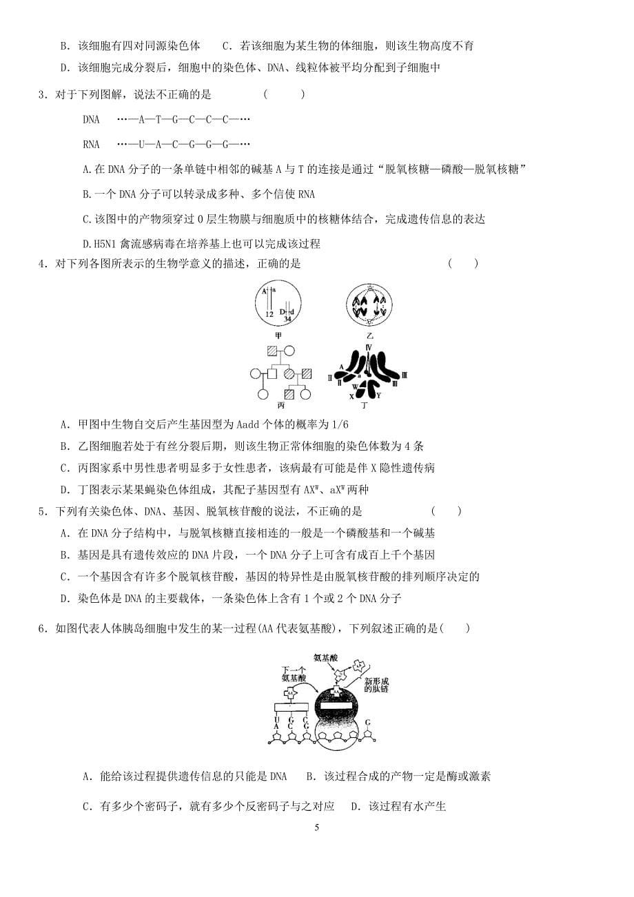 高中生物必修2第四章测试题_第5页