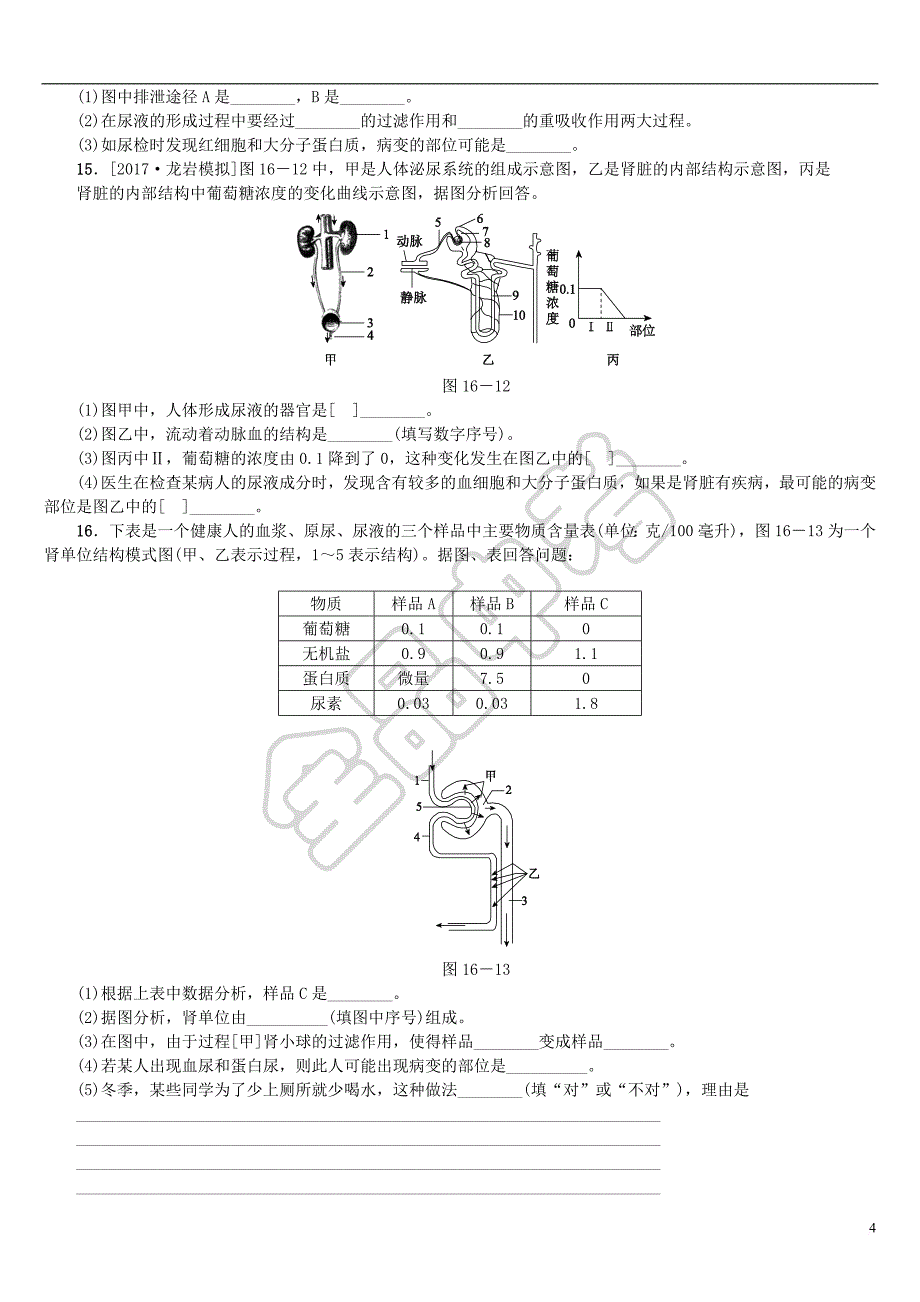 【新】中考生物第四单元生物圈中的人第16课时人体内物质的排出课时作业_第4页