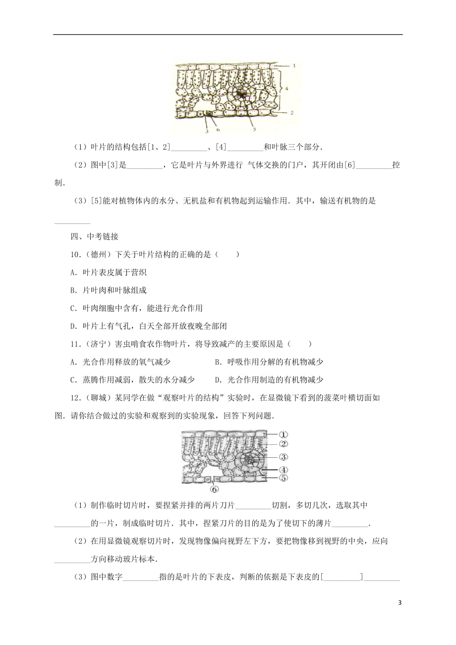 【最新】秋七年级生物上册42绿色植物的光合作用练习1北京课改版_第3页