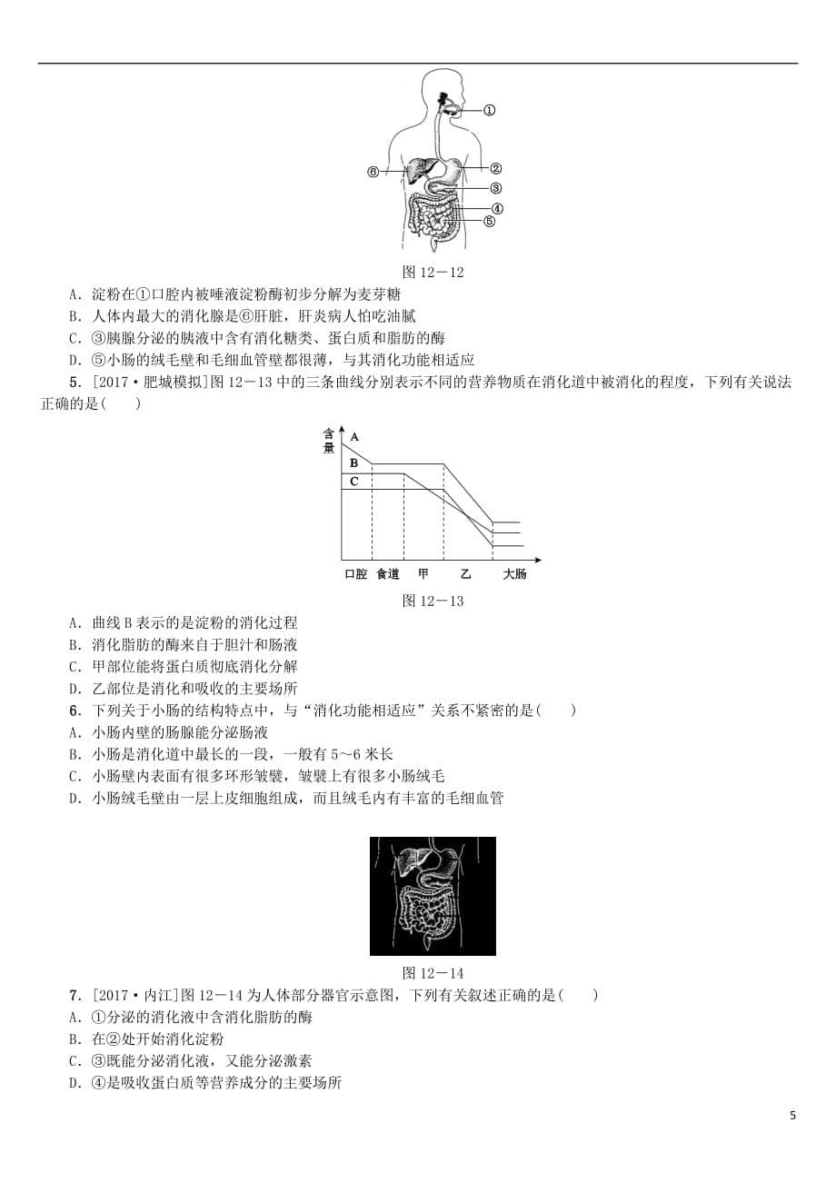 【最新】中考生物第四单元生物圈中的人第12课时消化和吸收课时作业0312440_第5页