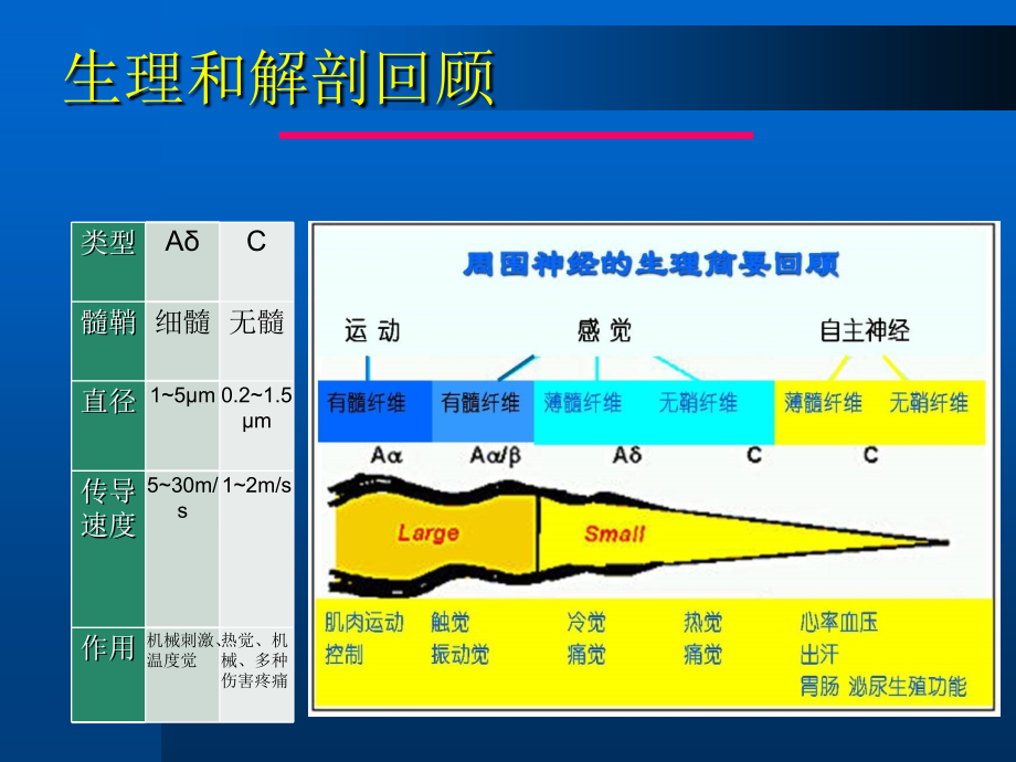 周围神经病诊断和鉴别诊断原则ppt_第4页