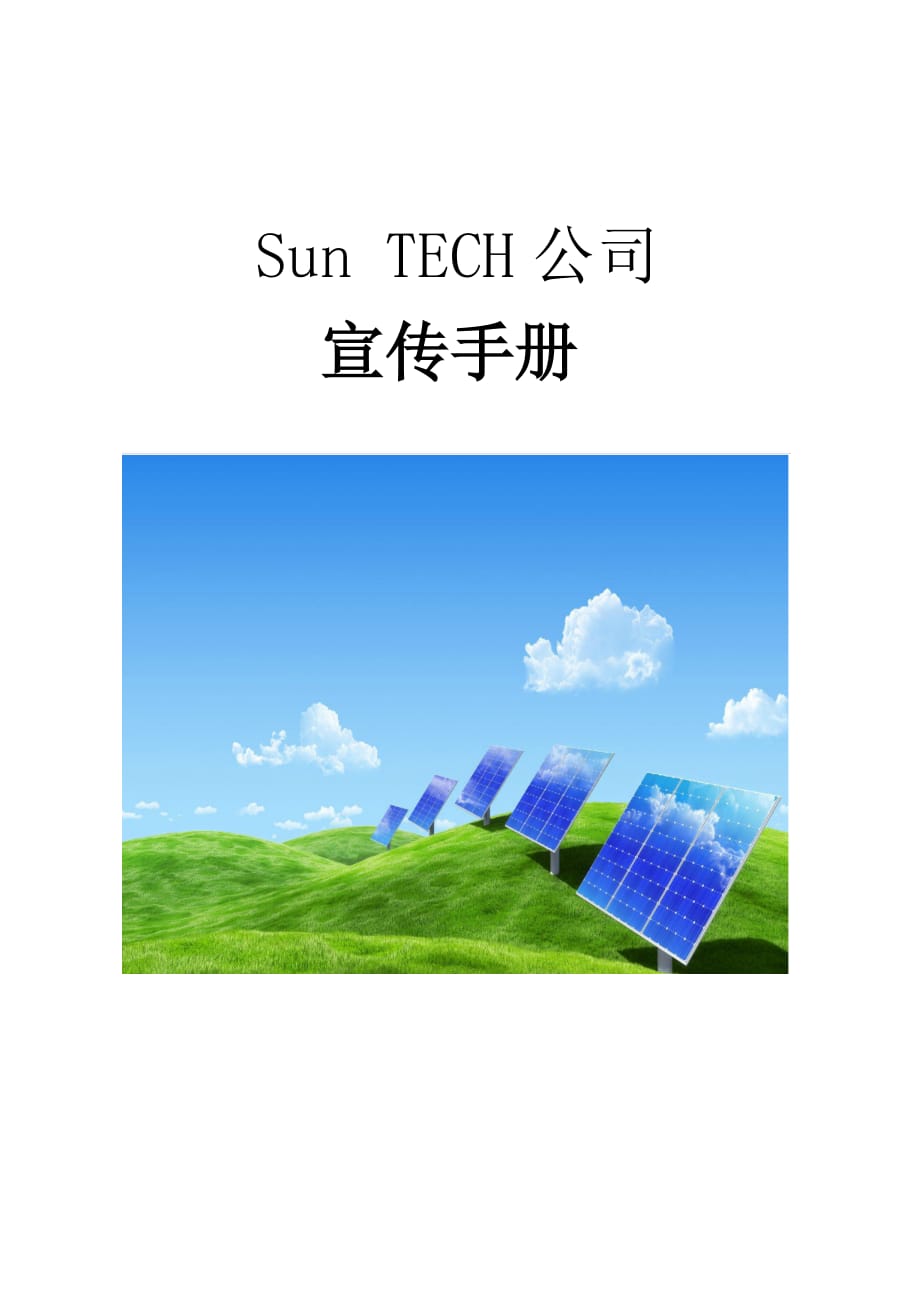 sun-tech公司宣传手册--中文版_第1页