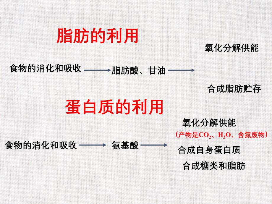 优质教学课件课件推选——《体内物质的动态平衡》_第4页