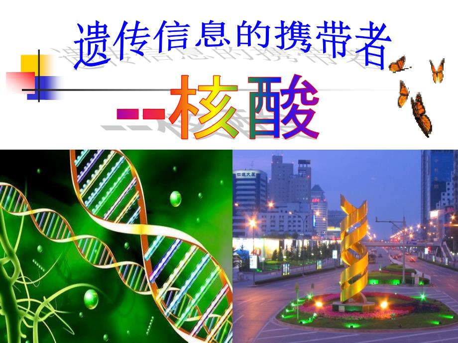人教版高中生物必修一第二章第三节资料_第1页