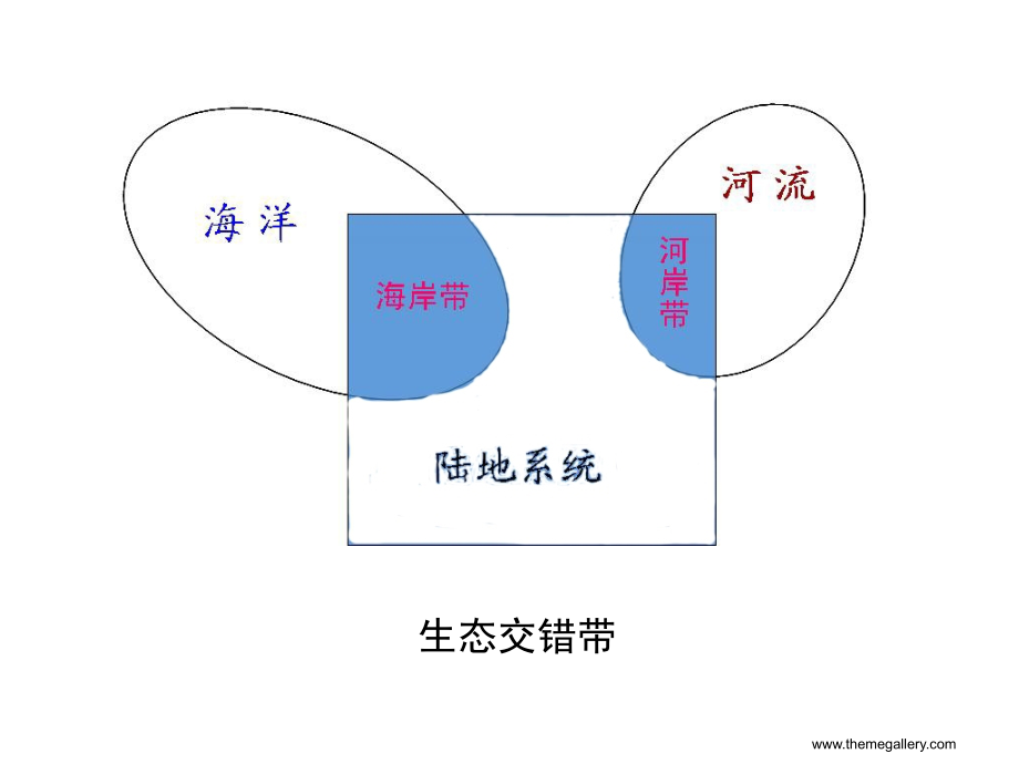 第五章水域与湿地生态系统的恢复重建资料_第3页