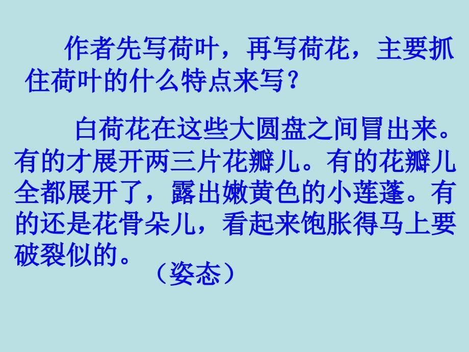 《荷花》ppt之一(人教版三级语文下册)详解_第5页