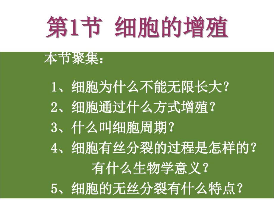 市级公开课课件细胞增殖_第2页