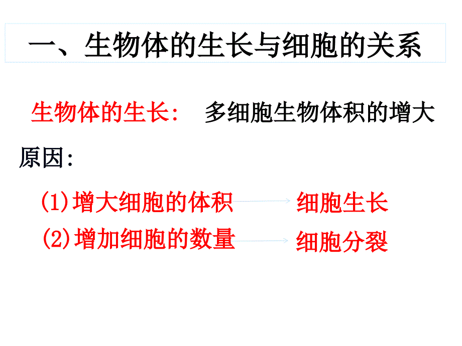 市级公开课课件细胞增殖_第3页