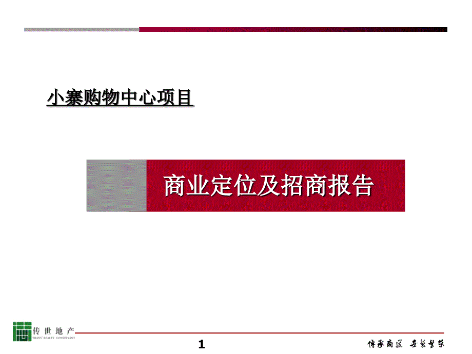 传世鑫邦项目方案PPT精品文档_第1页