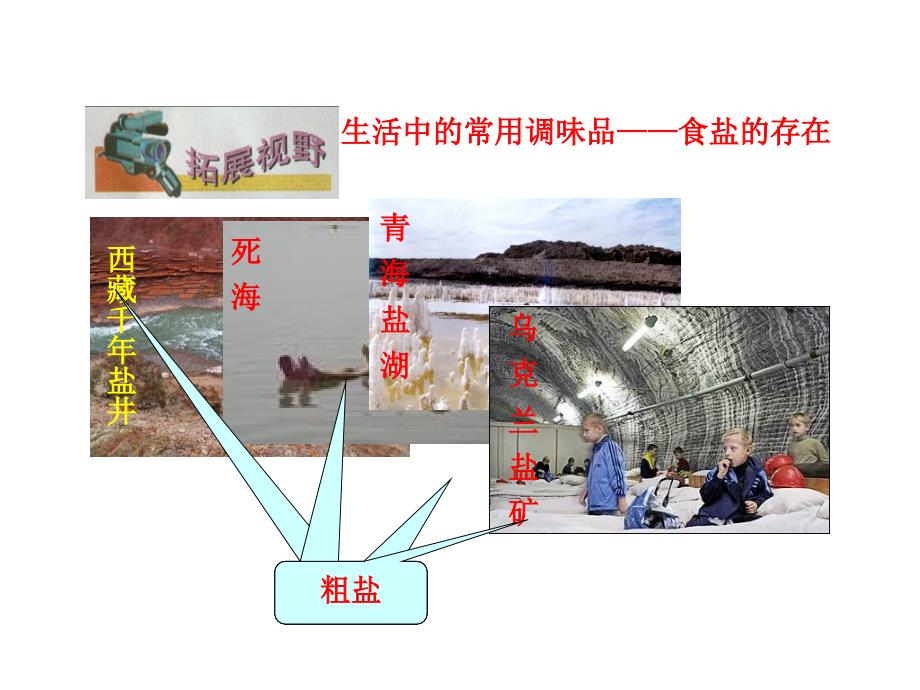 九年级化学全册 7.3.2 几种常见的盐课件 （新版）沪教版_第4页