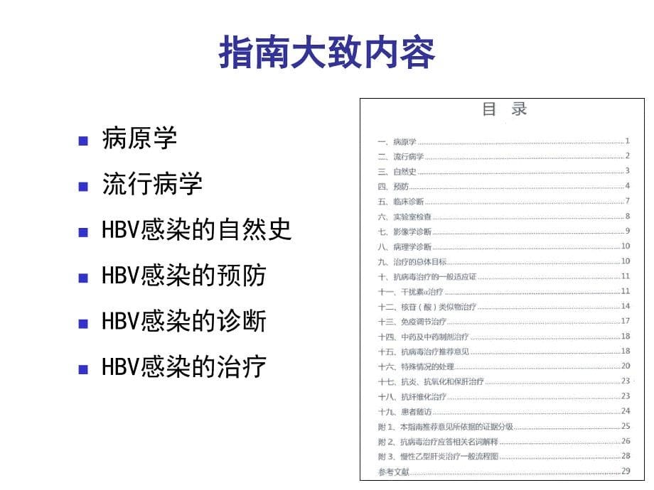 版中国慢乙肝防治指南解读_第5页