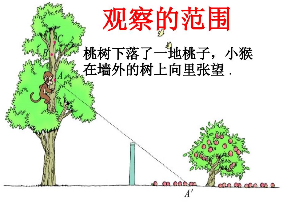 北师大版数学六上观察的范围pt课件2_第2页