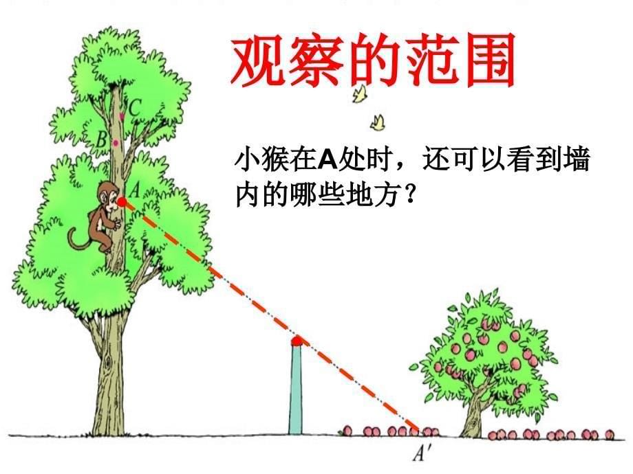 北师大版数学六上观察的范围pt课件2_第5页