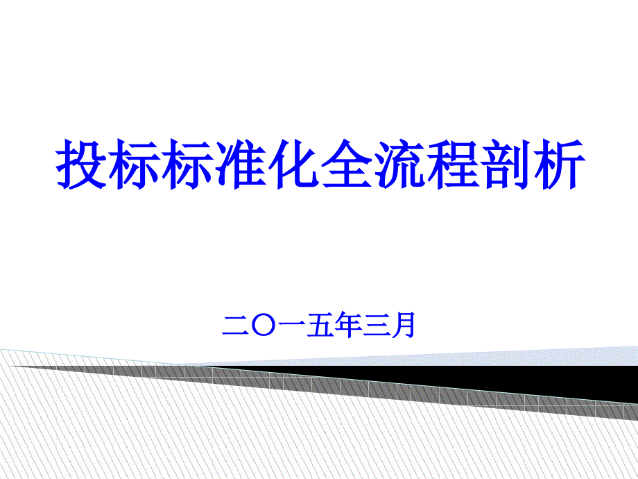 投标标准化全流程_第1页