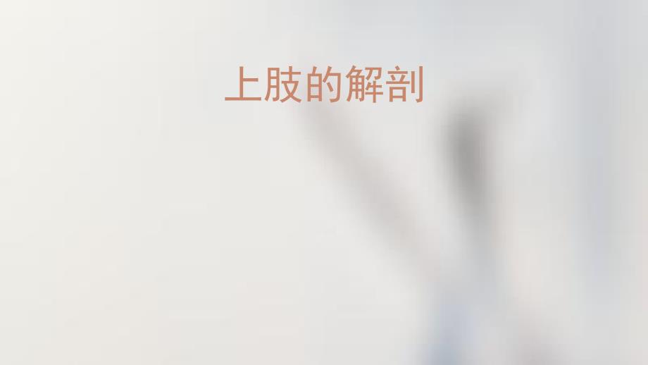 上肢的局部解剖_第1页