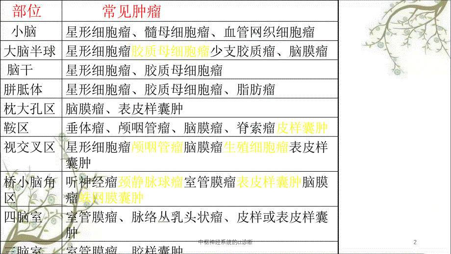 中枢神经系统的ct诊断_第2页