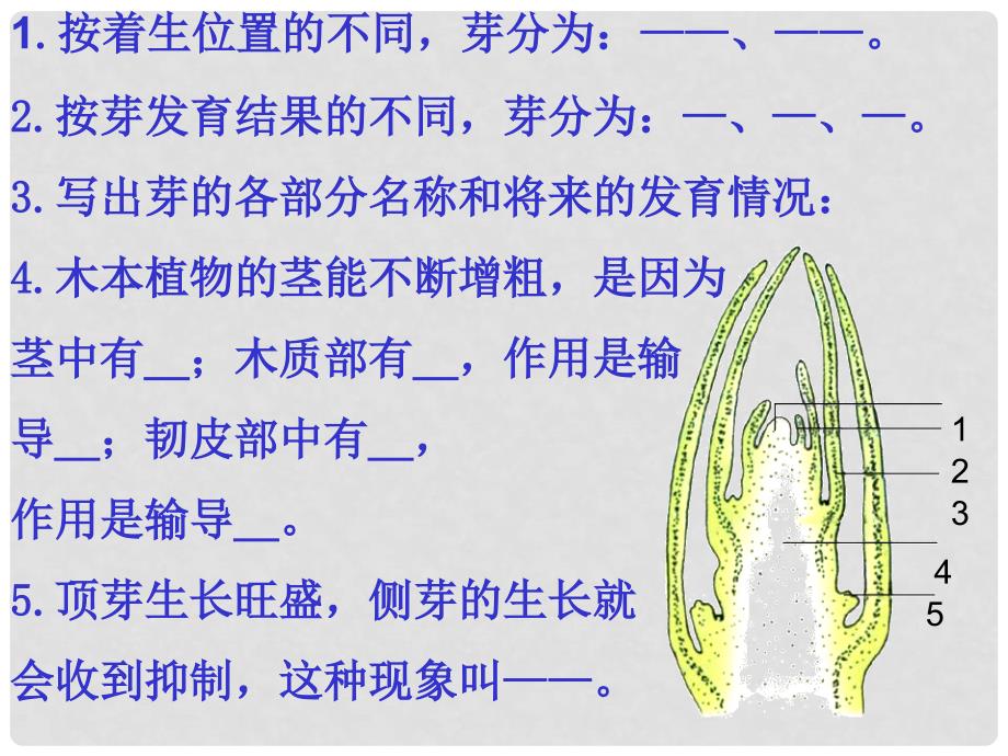 山东省邹平县实验中学八年级生物上册《4.1.7 植物的无营养繁殖》课件 济南版_第1页