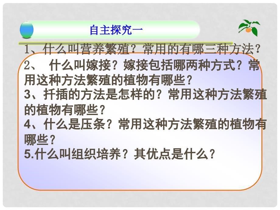 山东省邹平县实验中学八年级生物上册《4.1.7 植物的无营养繁殖》课件 济南版_第5页