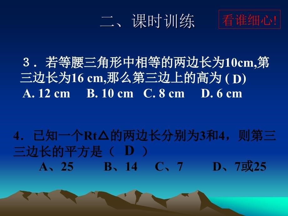 勾股定理复习_第5页