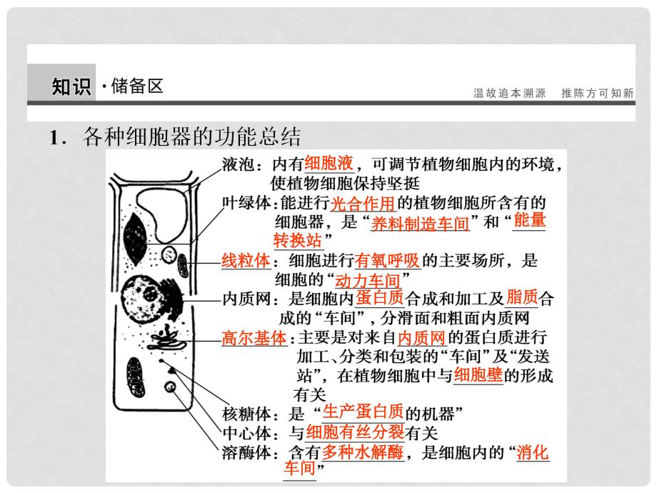 高中生物 细胞器 系统内的分工合作(二)课件_第2页