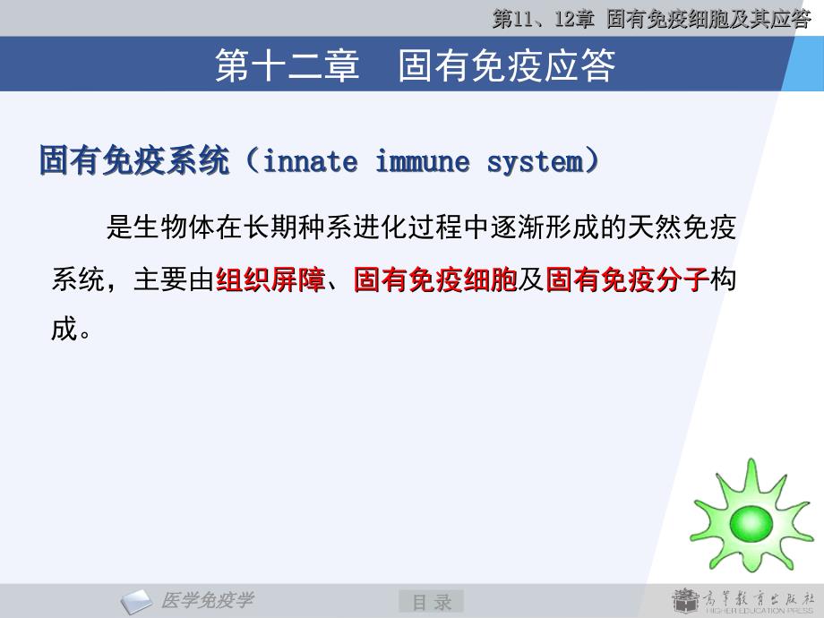 《医学免疫学》教学课件：第11、12章 固有免疫系统及其应答_第4页