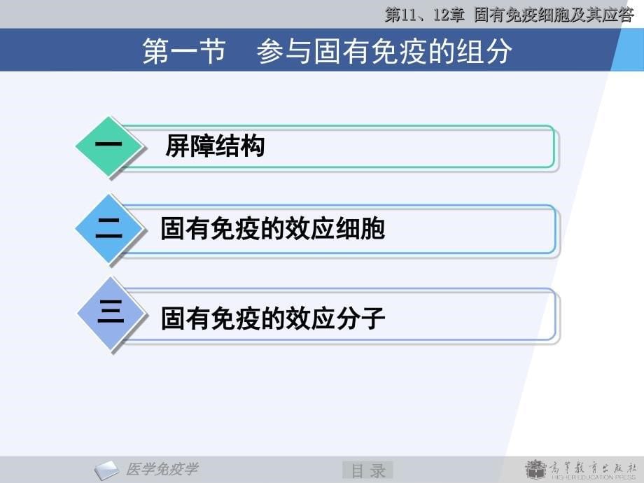 《医学免疫学》教学课件：第11、12章 固有免疫系统及其应答_第5页