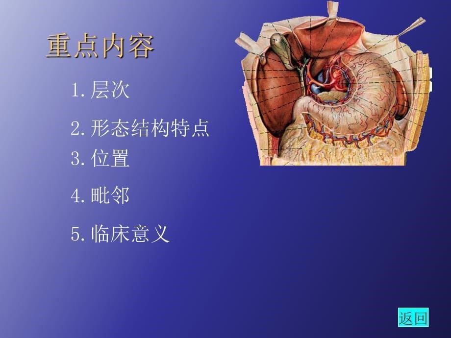 头部课件局部解剖学_第5页