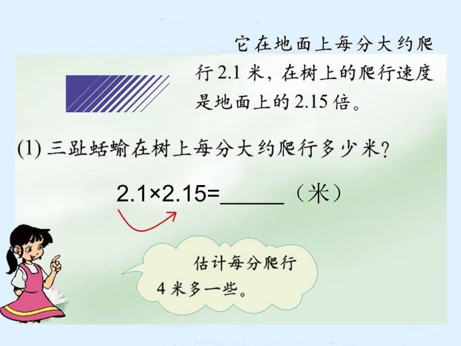 北师大版四年级数学下册课爬行最慢的哺乳动物课件_第5页