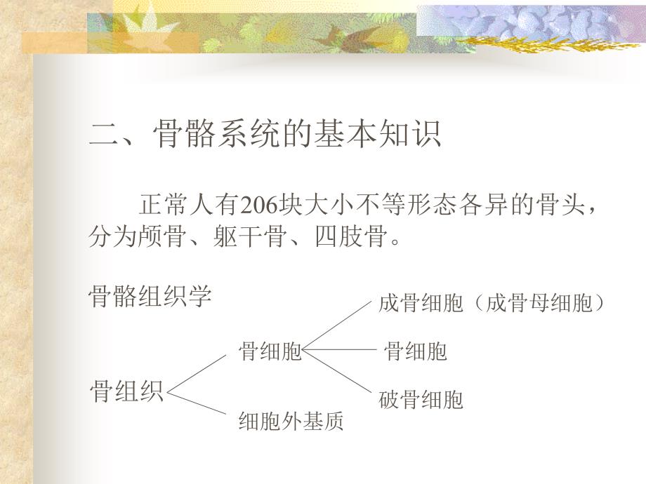 老年性骨质疏松症的诊断和治疗.ppt_第4页