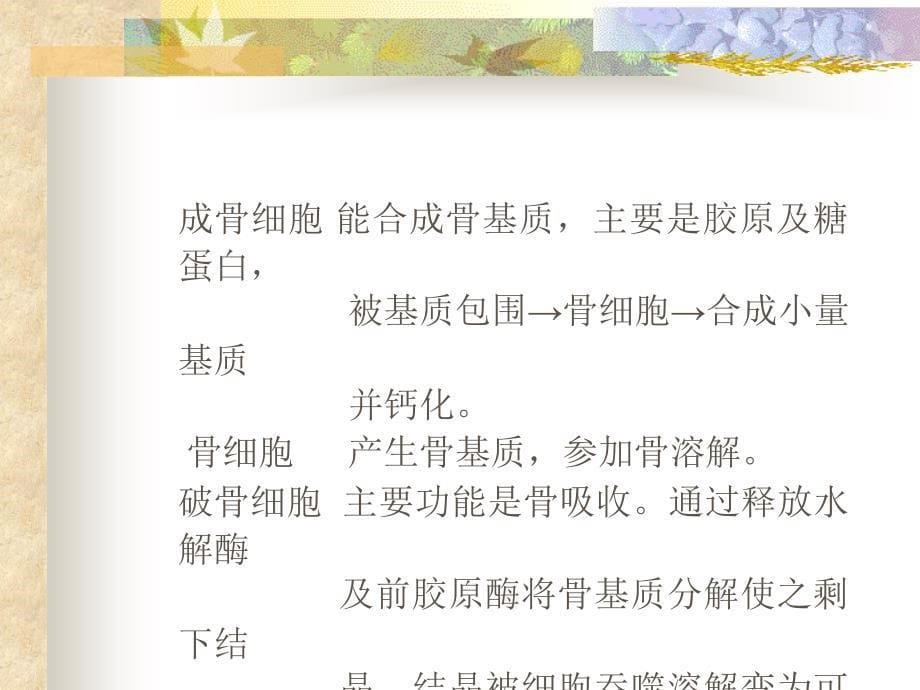 老年性骨质疏松症的诊断和治疗.ppt_第5页