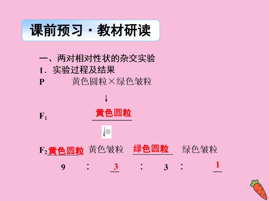 2019-2020学年高中生物 第1章 遗传因子的发现 第2节 孟德尔的豌豆杂交实验（二）Ⅰ课件 新人教版必修2_第3页