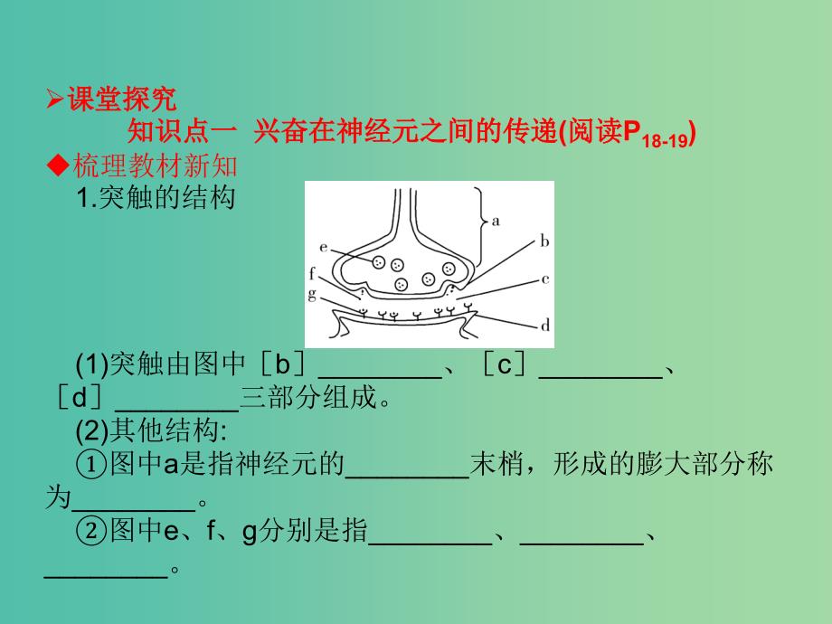 高中生物 第二章 动物和人体生命活动的调节 第1节 通过神经系统的调节（第2课时）课件 新人教版必修3.ppt_第4页