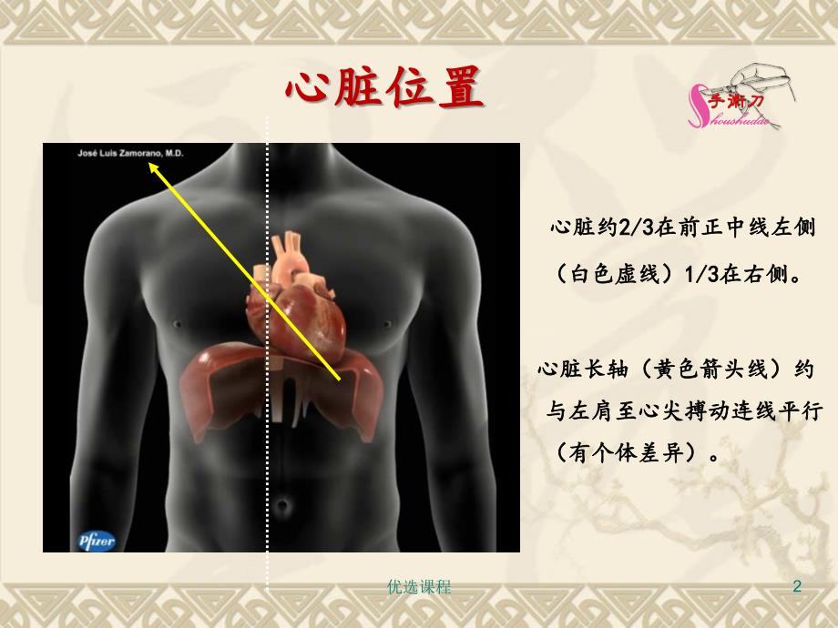 心脏超声常规切面与手法操作特制荟萃_第2页