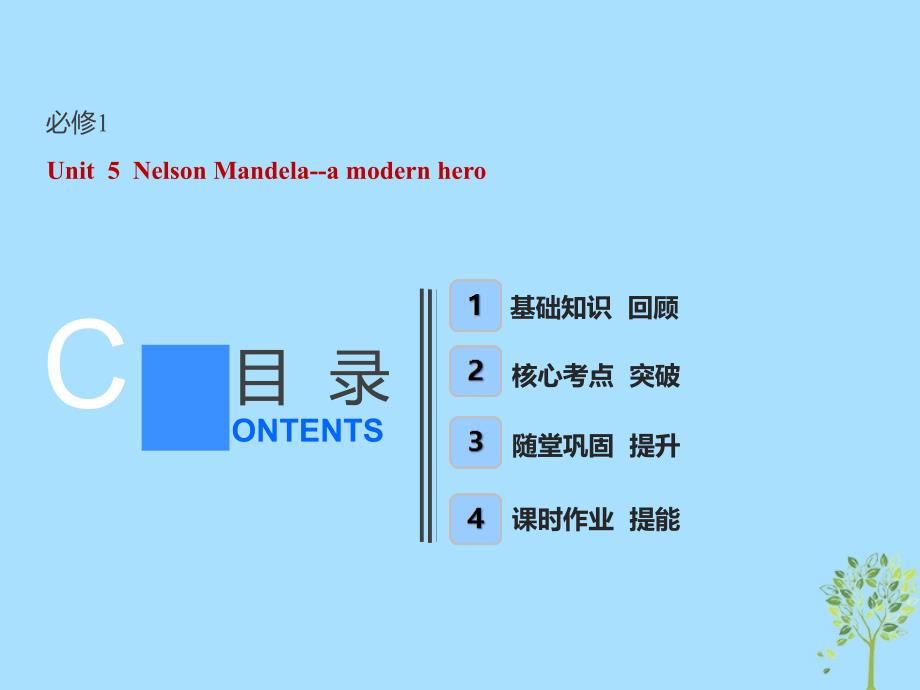 （全国卷）2019届高考英语一轮复习 Unit 5 Nelson Mandela-a modern hero课件 新人教版必修1_第1页