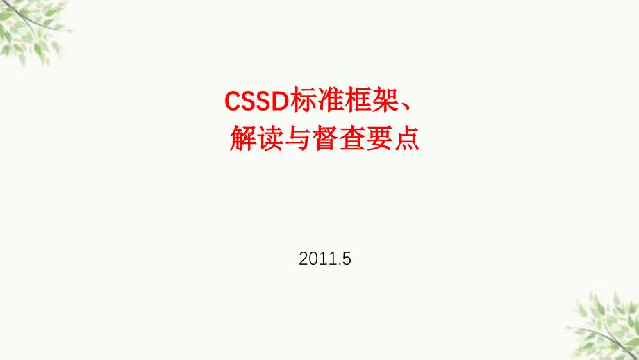 CSSD标准框架与督查要点ppt课件_第1页