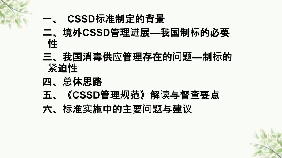 CSSD标准框架与督查要点ppt课件_第2页