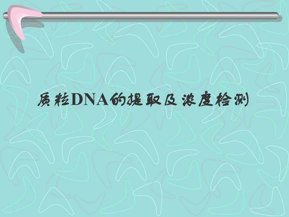 质粒DNA的提取及浓度判定_第1页