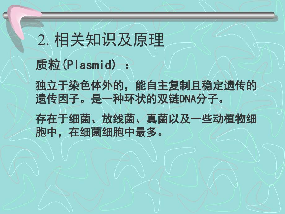 质粒DNA的提取及浓度判定_第3页