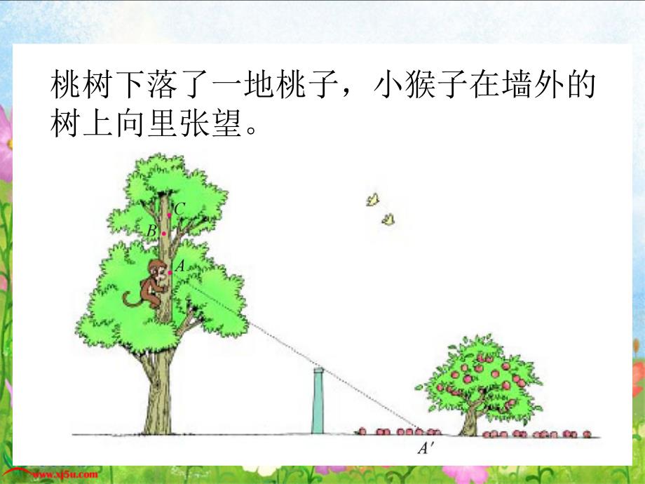 北师大版数学六年级上册《观察的范围》PPT课件_第3页