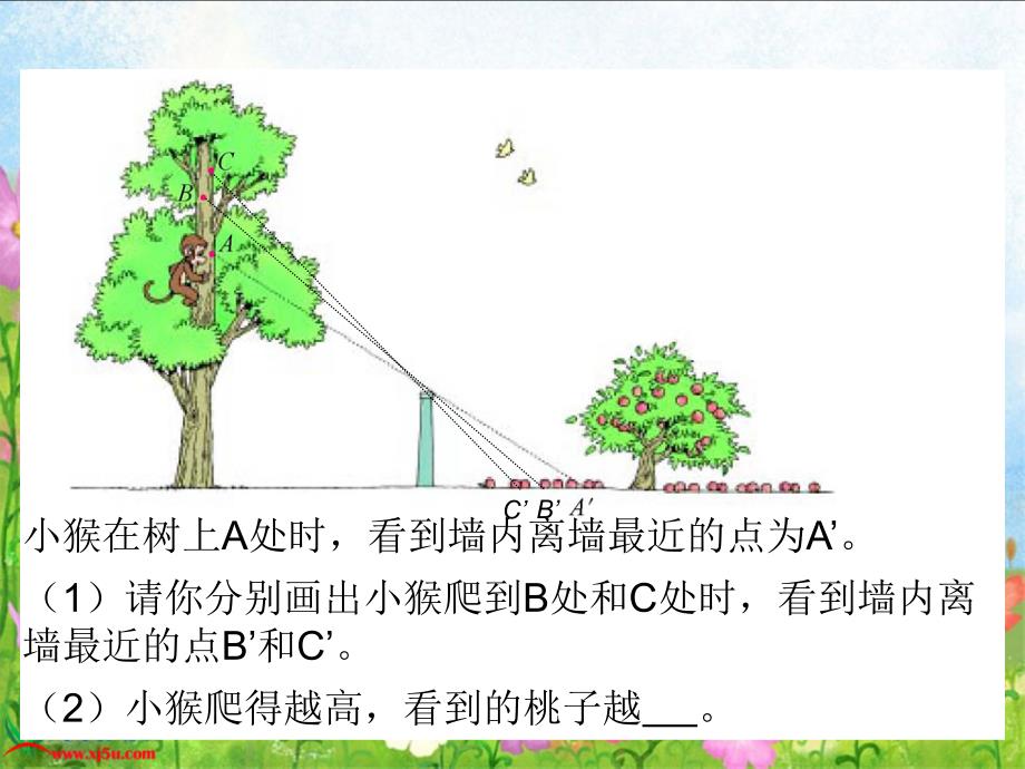 北师大版数学六年级上册《观察的范围》PPT课件_第4页