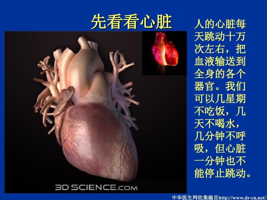 冠心病介入治疗简述_第2页