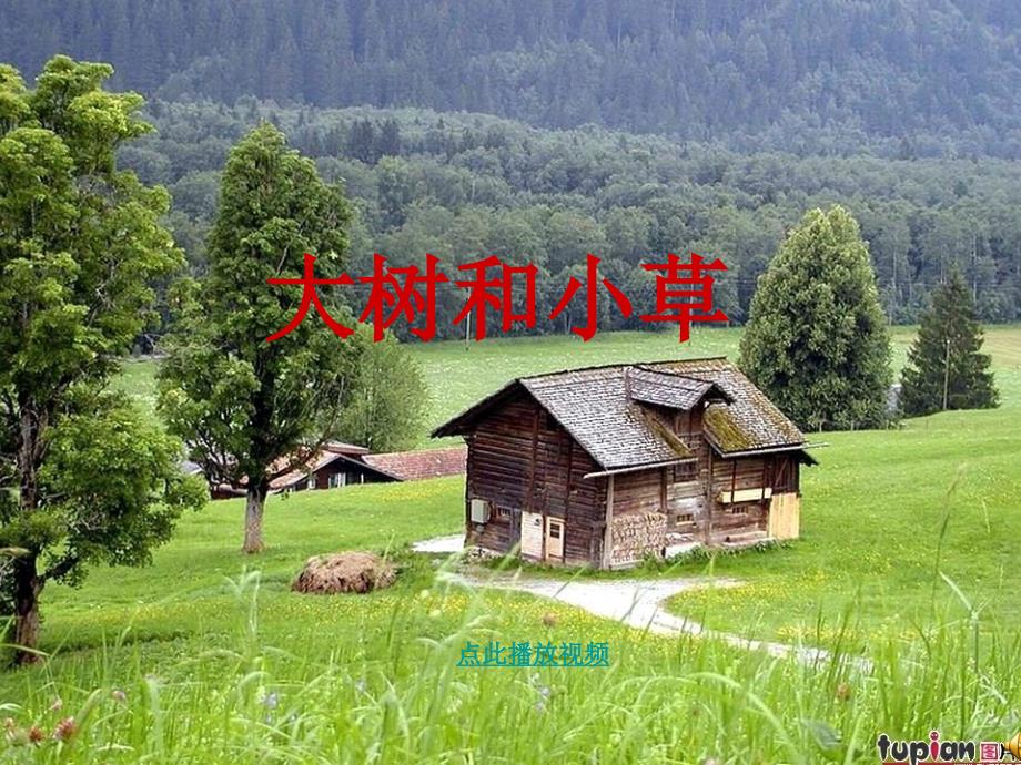 3大树和小草小学_第1页