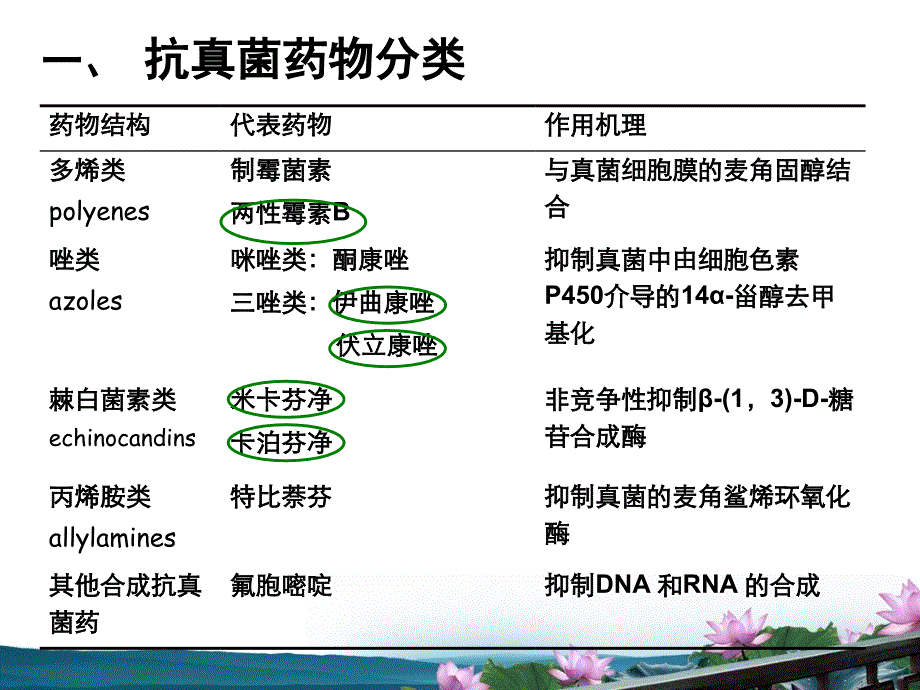 特殊使用抗真菌药物PPT课件_第3页