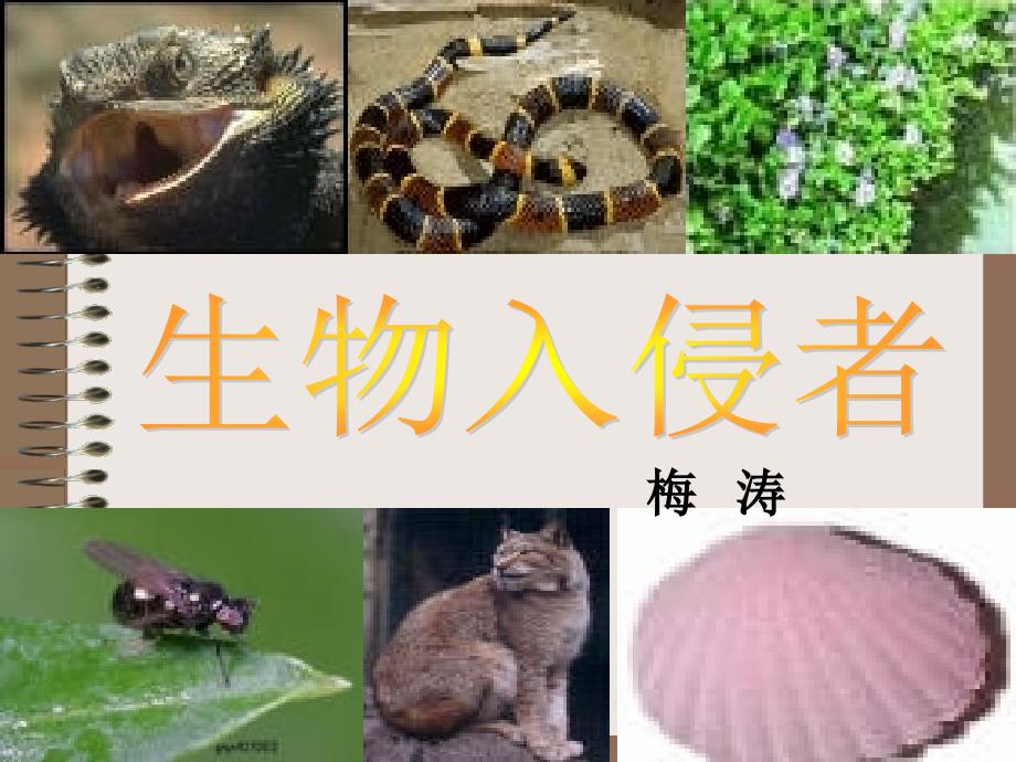 《生物入侵者》_第2页