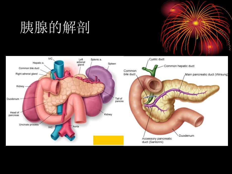 胰腺炎怎么治_第2页