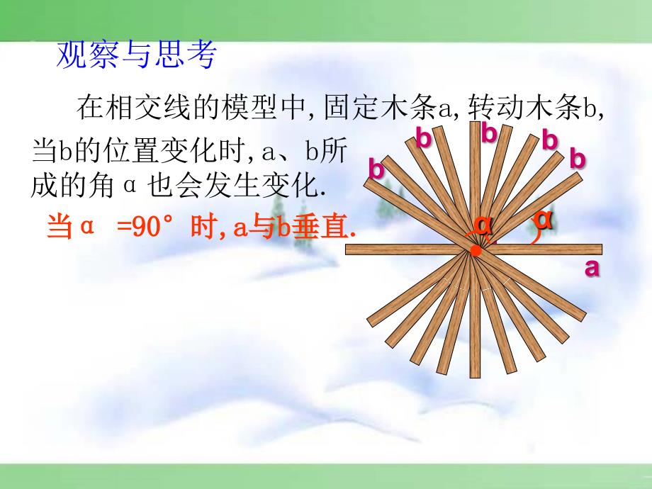 新人教七级下数学第五_第3页