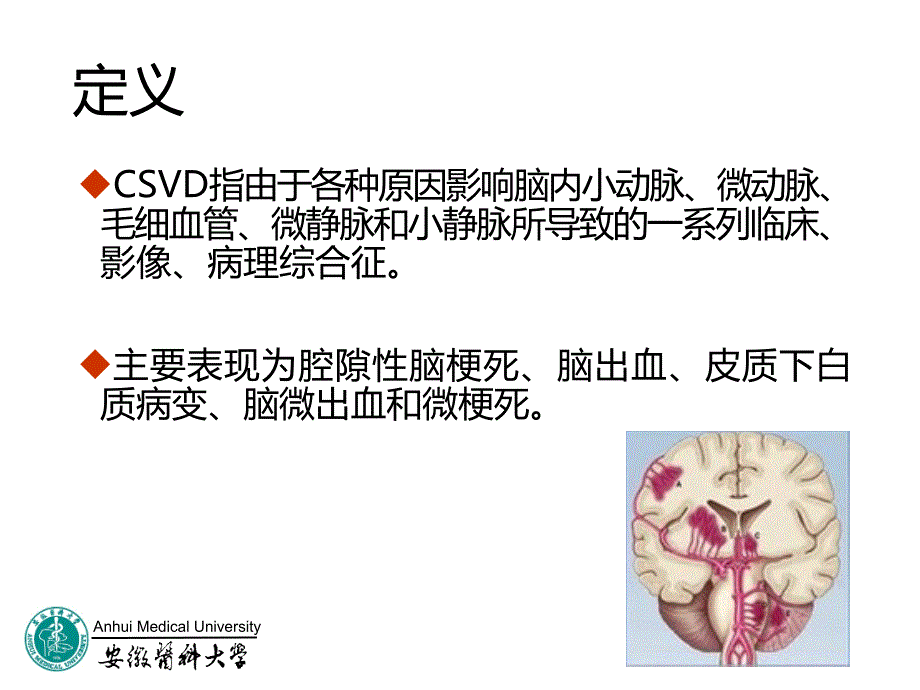 脑小血管病共识.ppt_第3页