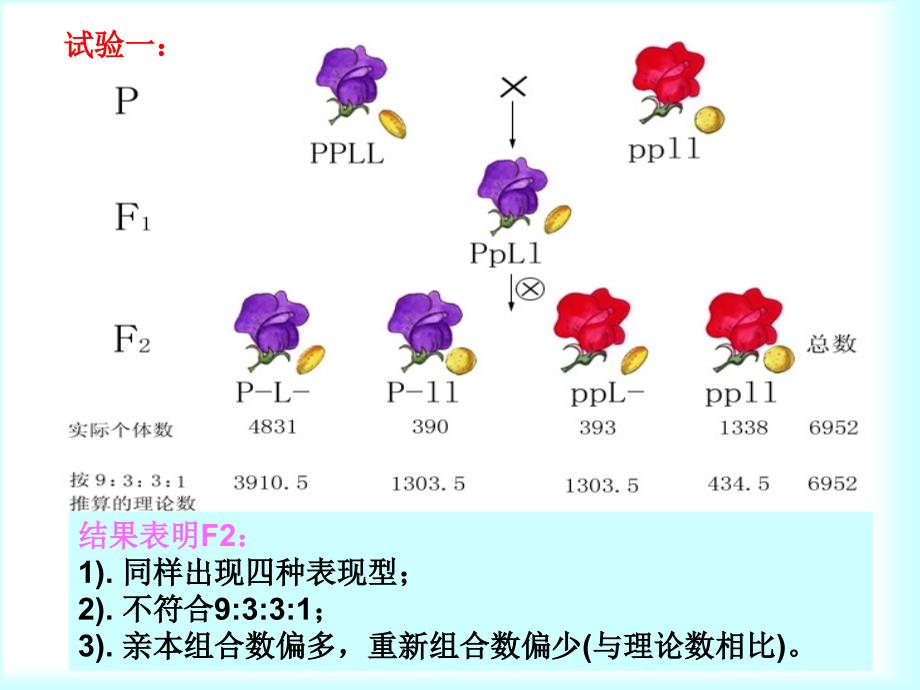 5第五章连锁遗传和性连锁_第3页