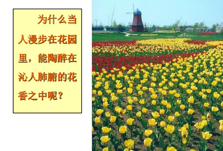 分子和原子ppt课件.ppt_第4页