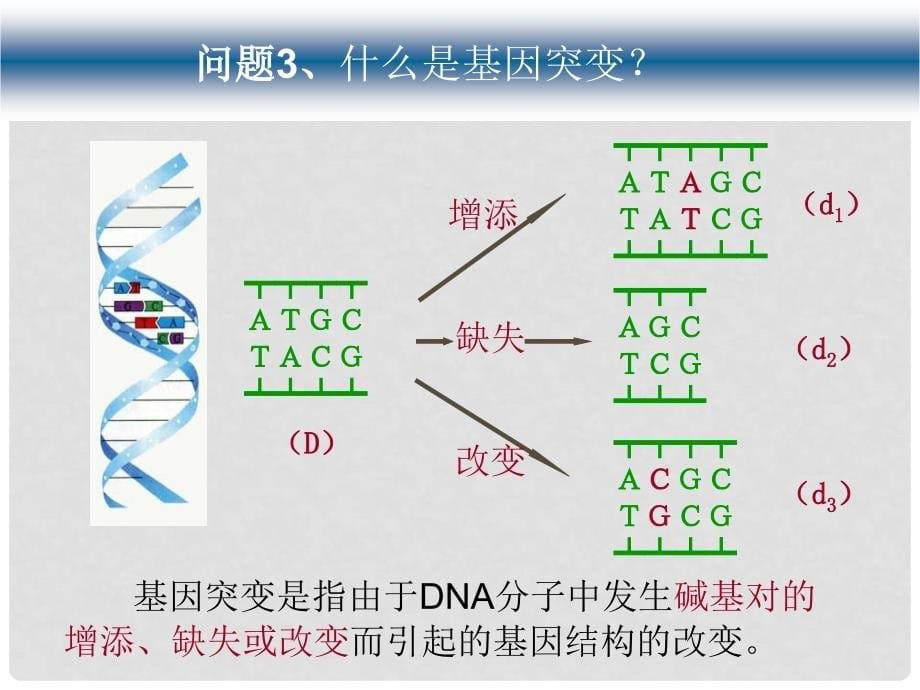 高中生物生物的变异1课件旧人教必修2_第5页